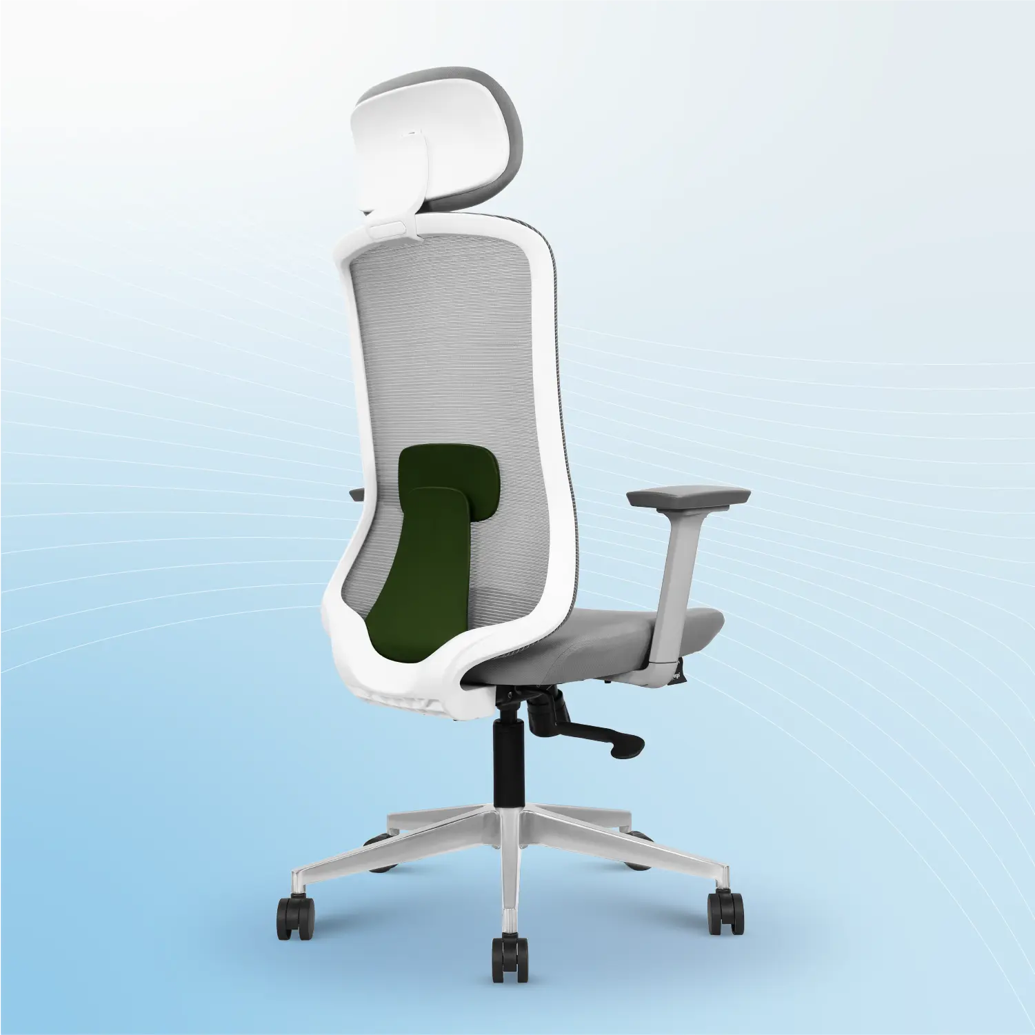 Olive White