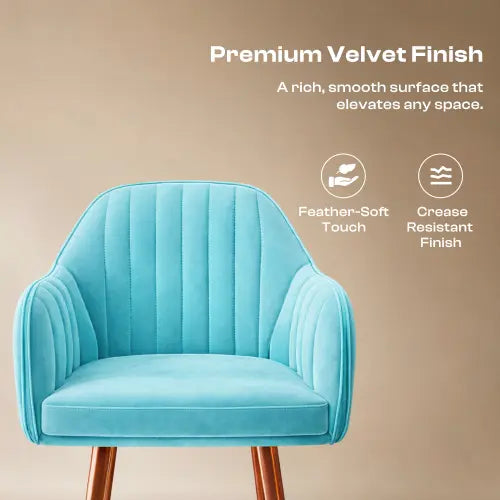 Plush Dining Chair with Velvet Fabric